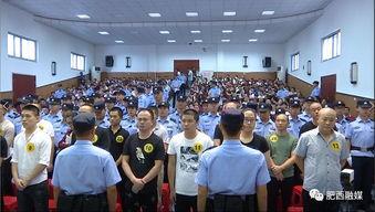 肥西县今天爆料事件最新,事件真相揭开，真相令人震惊！